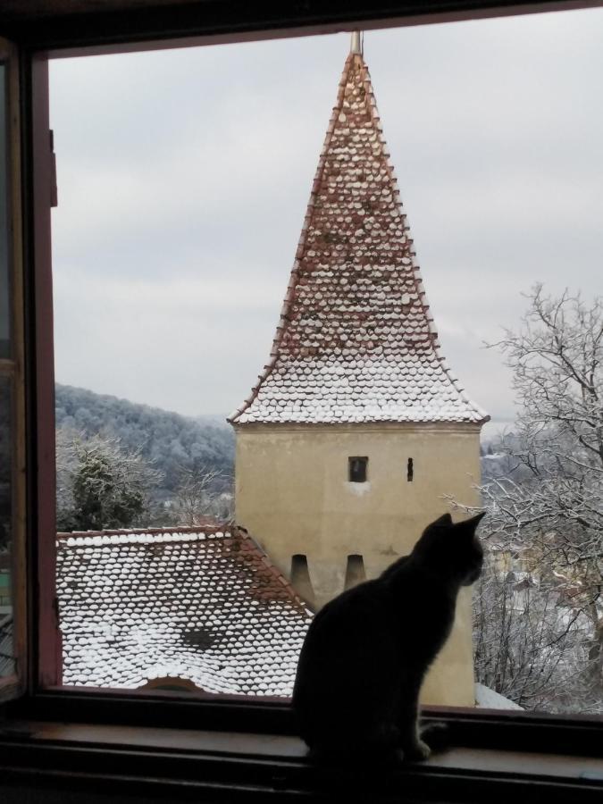 Ferienwohnung Casa Cojo Sighişoara Exterior foto